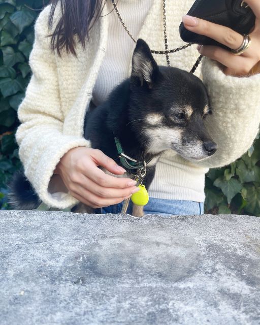 美人モデル・古畑星夏、愛犬が可愛すぎると話題に