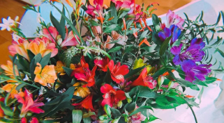 奇跡の花束が話題！ベッキーと“誕生日が同じ”花農家から届いた感動の贈り物とは？