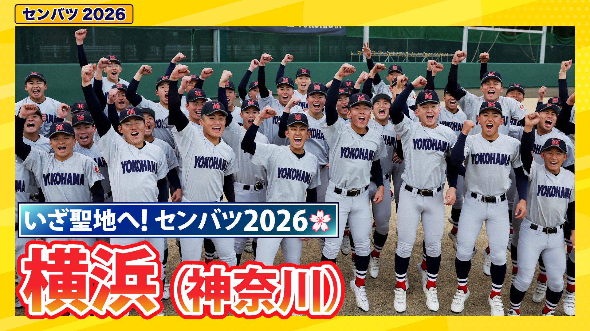 第98回選抜高校野球出場校紹介 横浜（神奈川）【選抜高校野球2026