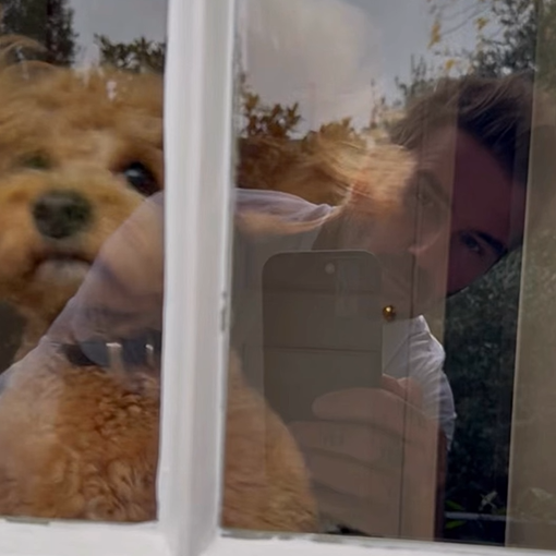 ベッカム、愛犬との動画が面白すぎると話題に！ファン爆笑で「可愛すぎる」「どっちが遊ばれてるの？！」