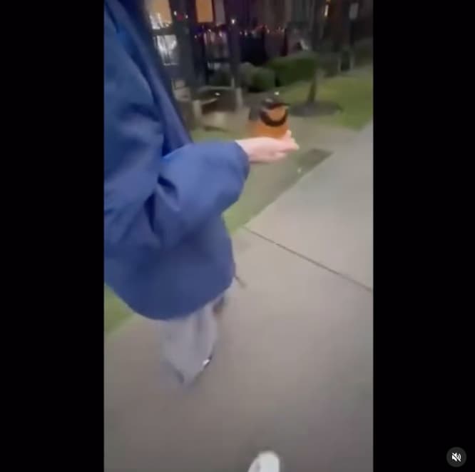 つるの剛士、長男の不思議な特技を公表！まるでナウシカ！？