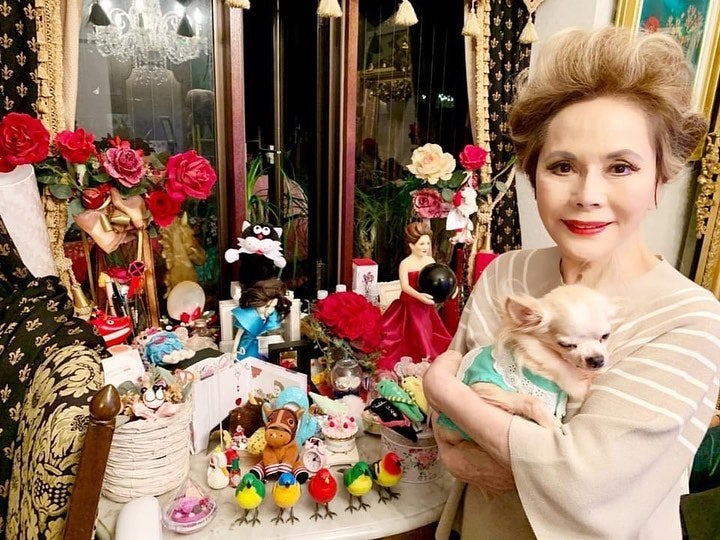 デヴィ夫人の愛犬、亡くなる「愛しのジュジュ安らかに。」