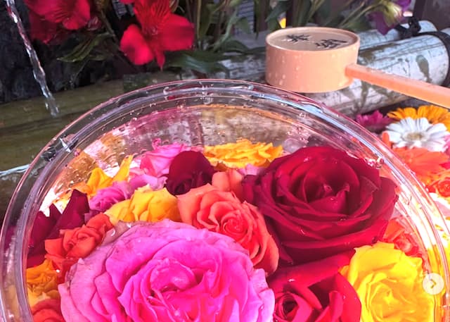 手水鉢が花でいっぱいに！札幌など19神社で「花詣」スタート