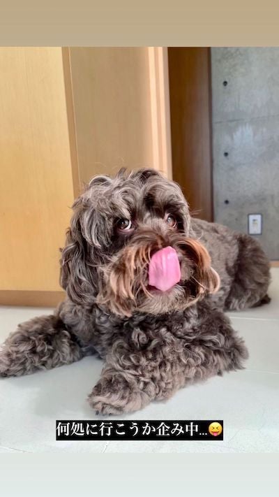 木村拓哉「何処に行こうか企み中...😝」世間を揺るがす大注目の今後の動向が明らかに..❗️❓