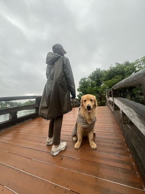 「楽しくて可愛くて 楽しい毎日」高橋ひとみ、雨の日散歩で愛犬に友達ができる…？！