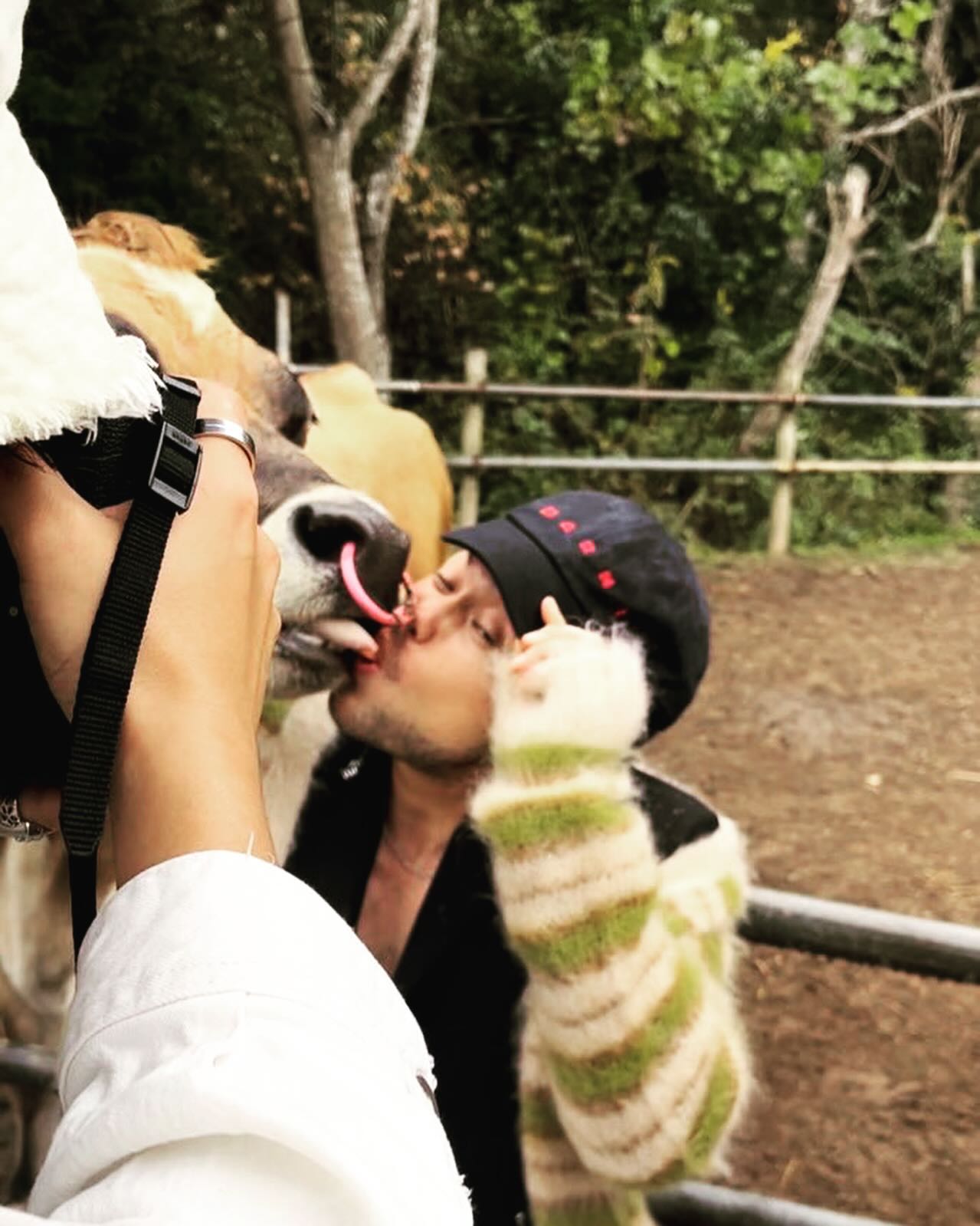 King Gnu・井口理が牛とベロチュー！？衝撃のショットにファン驚愕😵