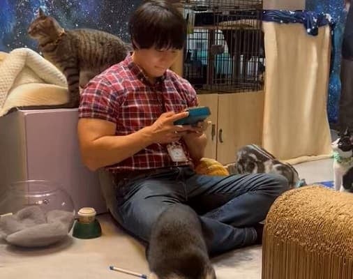 癒しの音色に猫もうっとり？青木マッチョの猫カフェでの演奏動画が話題に