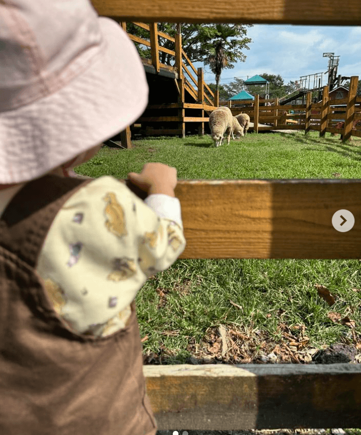 キャンプ芸人 阿諏訪泰義、娘の初めての「羊と馬」体験にほっこり