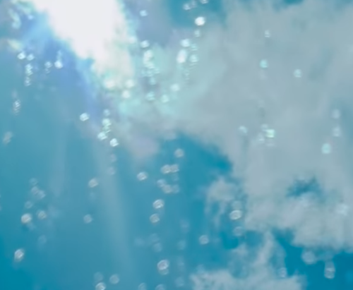 土屋太鳳が心晴れ晴れ🌈第一子出産を報告‼️🎉