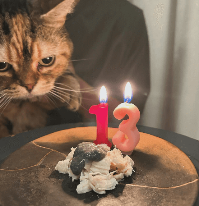 水川あさみ＆窪田正孝夫婦が家族の誕生日を祝福