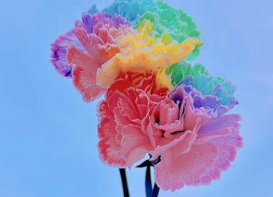 「初めての生花にびっくり！」サキ吉、母の日サプライズに思わず笑顔