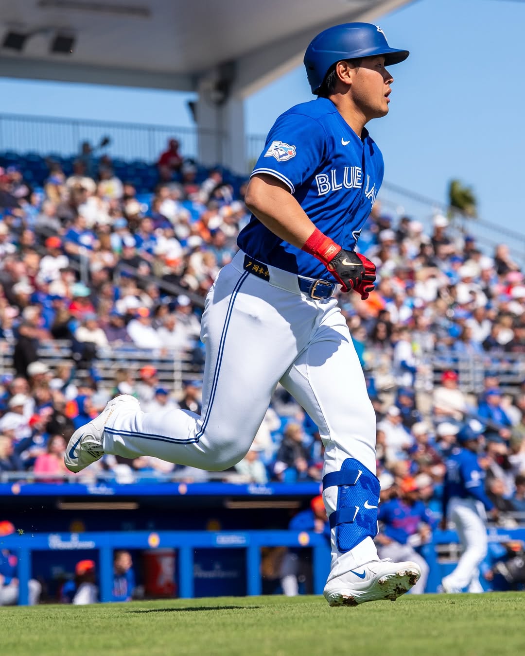 【ブルージェイズ】岡本和真がWBC合流前にヒヤリ 右手甲に死球もプレー続行