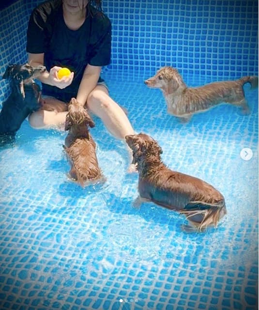 歌手・氷川きよしが夏の楽しみの一つを公開