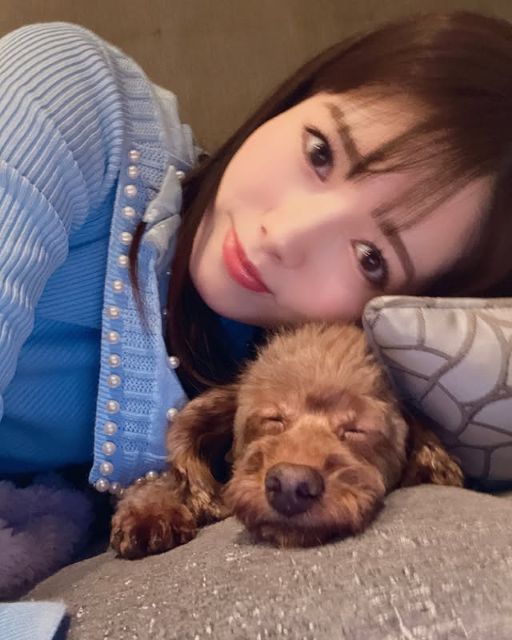美人アナ・谷尻萌、愛犬とくつろぐ