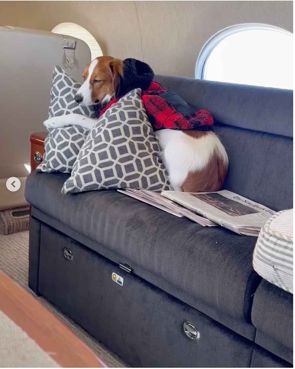 大谷翔平がニューヨークでの晩餐会の様子を投稿！！愛犬のデコピンには「癒し❤️」