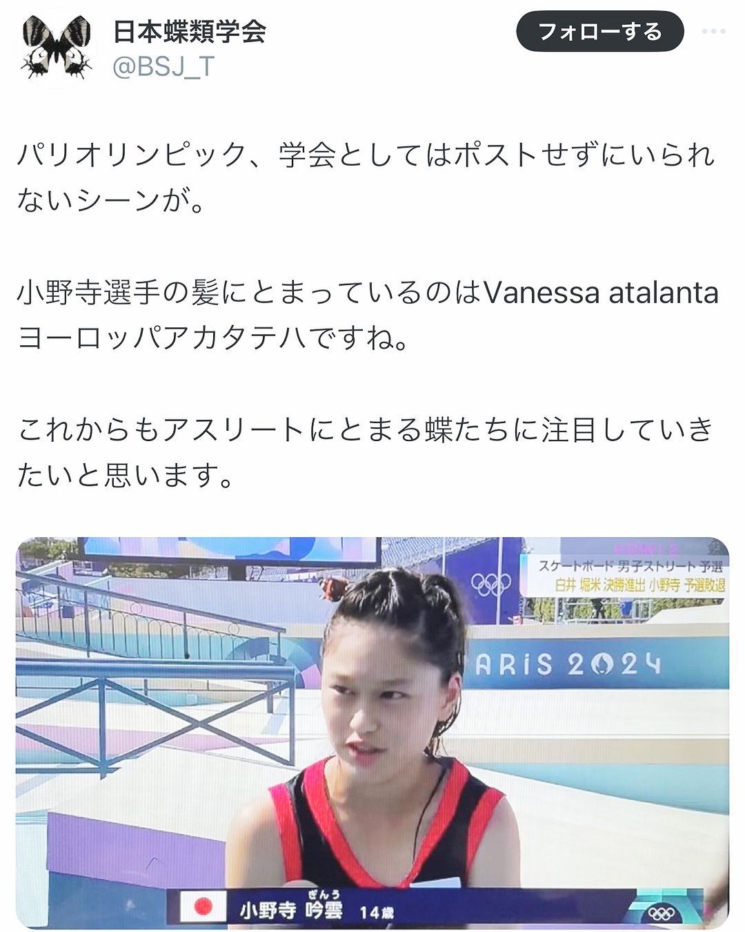 Xで話題「アスリートに止まった蝶」の投稿に本人が反応「どうもありがとう」