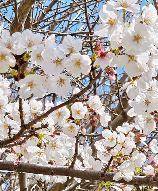 「年々、〇〇が好きになっていきます」声優・東山奈央の写真が美しすぎる！
