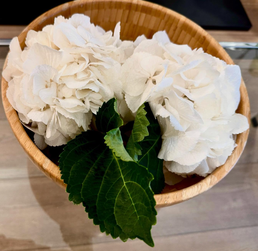 「涼しげな白い花に癒やされる…」夏木マリが“朝のひとこと”で届けた優しさにファン反応