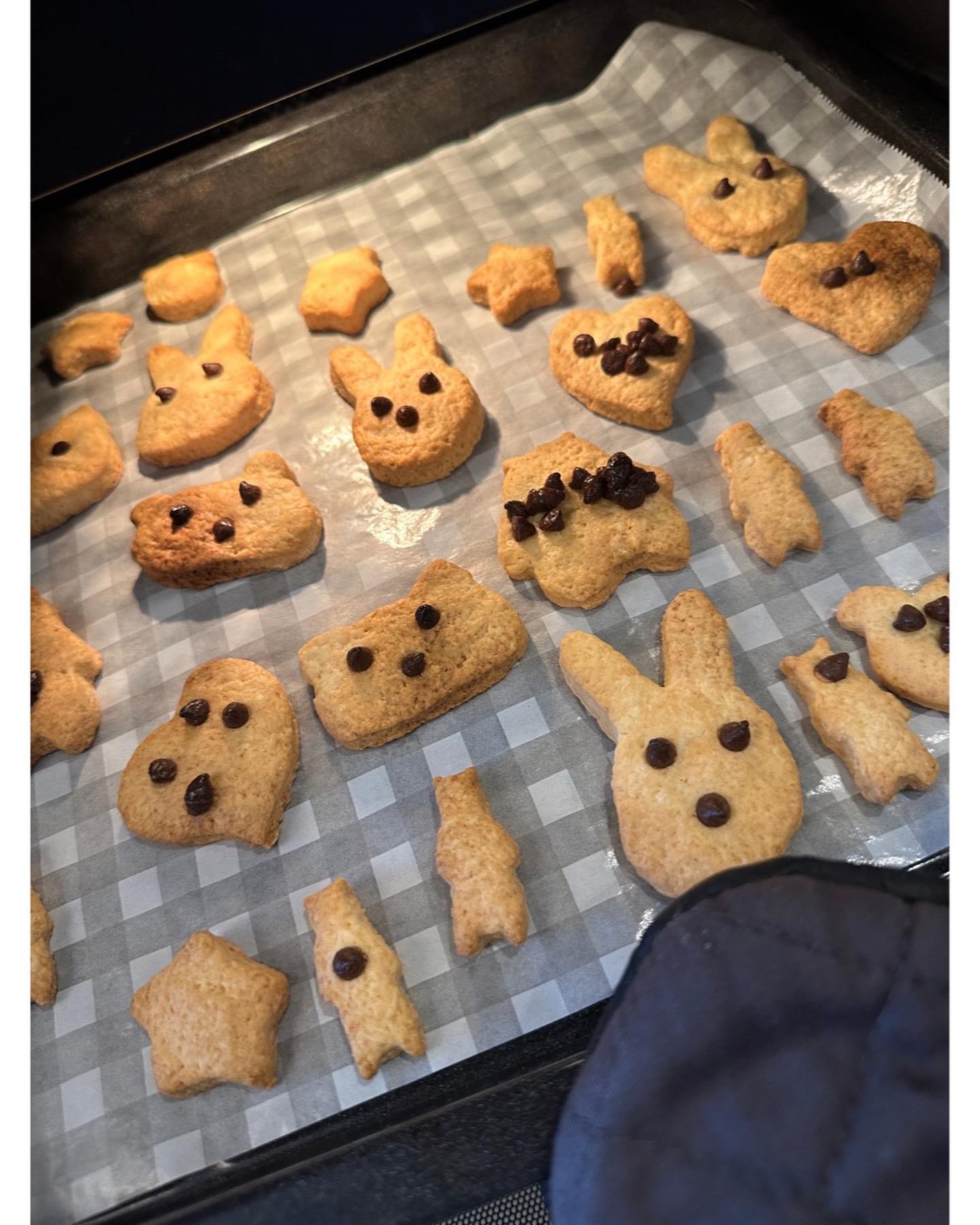 「本当に好きみたい👦🏻」佐々木希がクッキーを手作り🍪