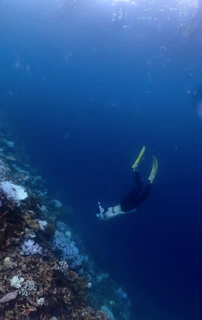 中条あやみ　まるで人魚のようなシュノーケリング姿を公開！