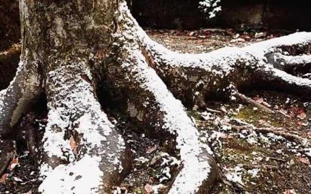 SixTONES・京本大我の作品が大好評！「