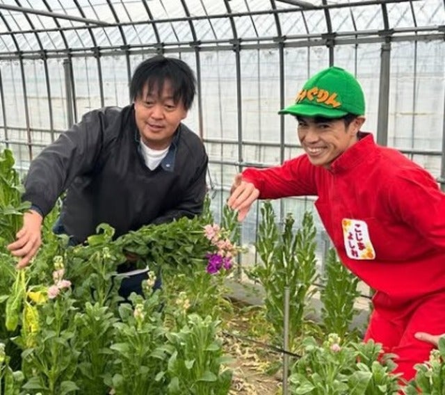 小島よしおがちゃぐりん取材でストック栽培のハウスへ！