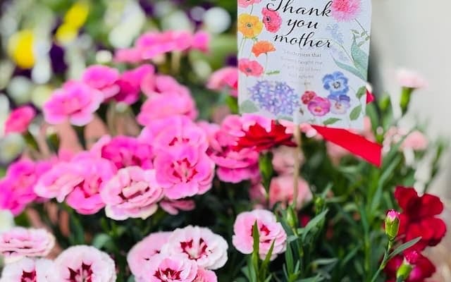 尾木ママ、パートナーへ“母の日のプレゼント”を贈る