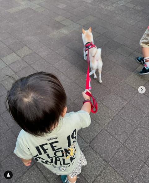 かまいたち山内がみんなでお散歩