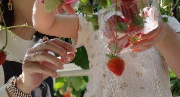 「肌着でいちご狩り！？」菊地亜美、甘～いイチゴに大満足！