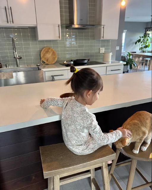 吉川ひなの、『べビ子＆愛猫アンバー』たわむれショット公開！可愛いが渋滞しすぎでファンほっこり