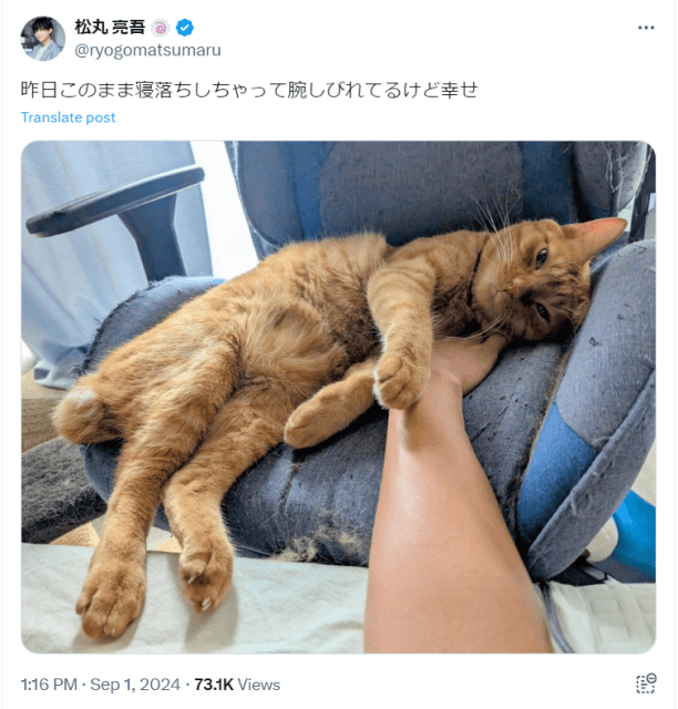 松丸亮吾と愛猫の幸せショットで「猫になりたい」と思う人続出！？