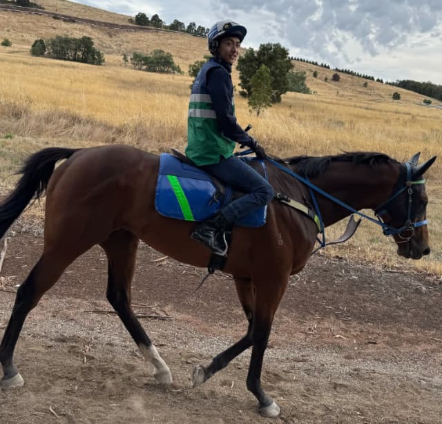 地方騎手の鴨宮祥行、オーストラリアに渡り1週間が経過も「全てが新鮮」