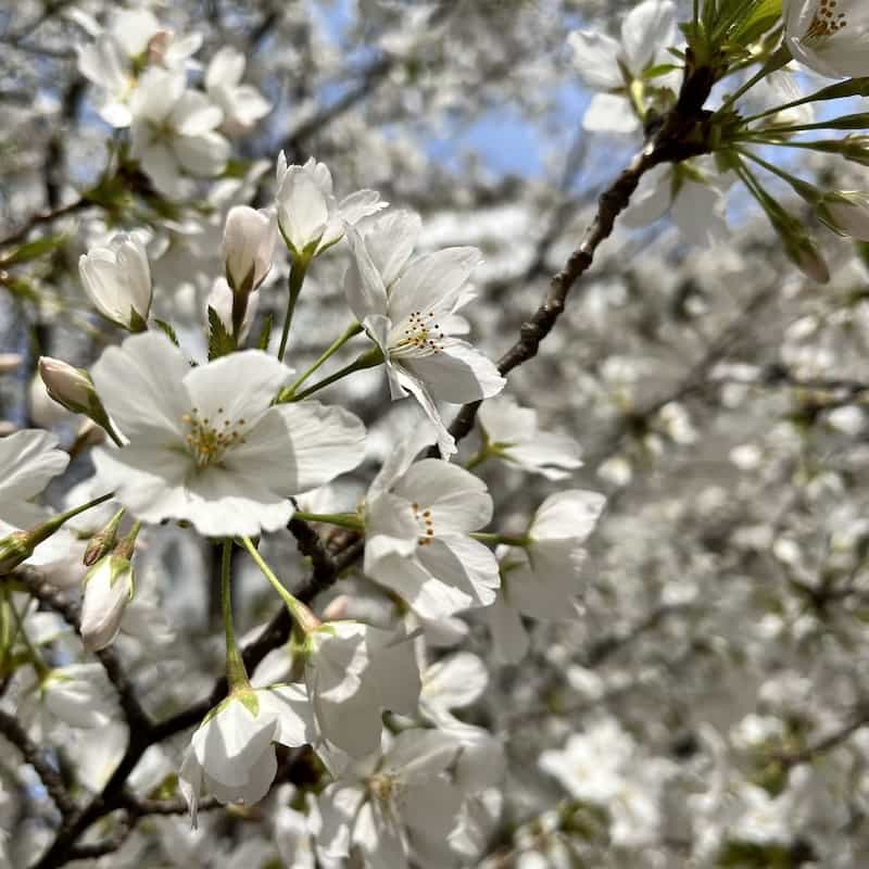 高橋みなみが3.11を想う「新しい1日が始まることは当たり前じゃない」