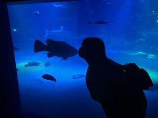 「浮気されました。」人気YouTuberカップル 衝撃告白で話題に?!まさかの浮気相手とは…