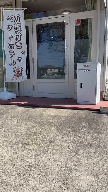 「いつも希望みたいに輝いています」老犬ホームが投稿した動画に映る犬の姿にいいねが殺到！