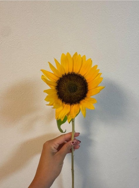 ひまわりとゴンチャでホッとひと息！女子陸上・熊谷遥未、試合前後の心の動きを公開