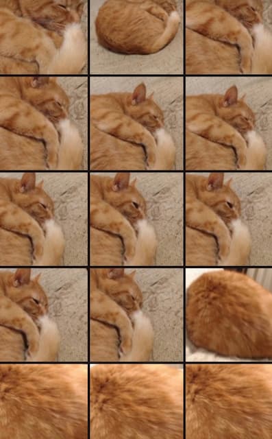 12月5日はアルバムの日！パペットマペットのアルバムを埋め尽くす“ある動物”とは？