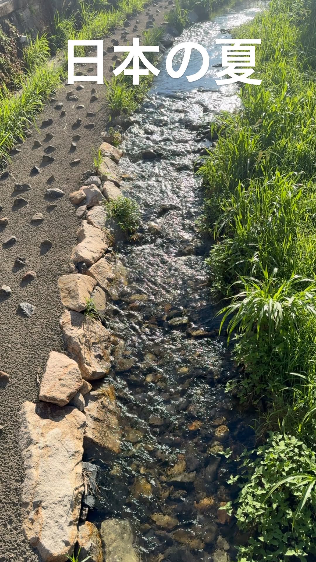 カンニング竹山、川のせせらぎ動画に「癒される」の声