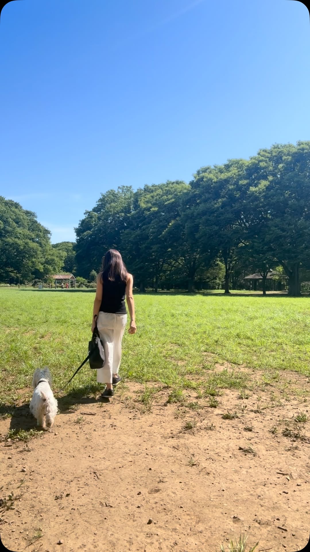 「うーしゃん、楽しかった〜お顔で大満足！」美人モデルの朝のお散歩動画を公開