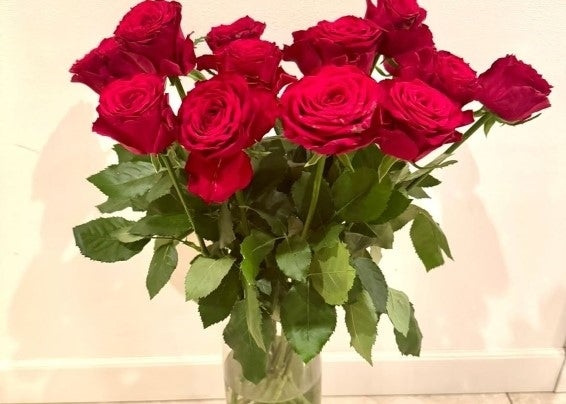 夏木マリ、マリルージュに託した情熱と祈りが支援という名の希望に変わる日