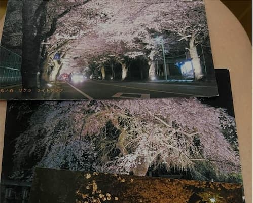 「この日を忘れない。」丸山桂里奈が3.11での思いを綴る。