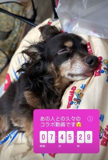 ぺえがあの人と久々のコラボ！？