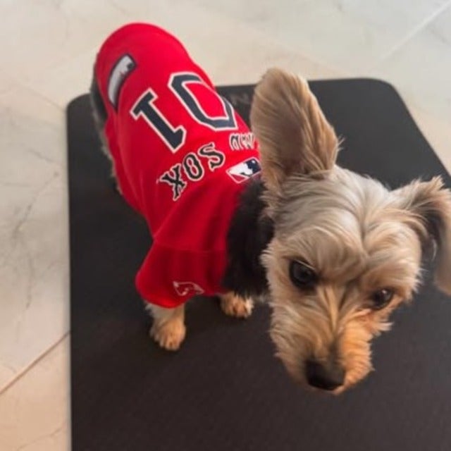 上原浩治がキャンプ中のメジャーリーガーを応援！