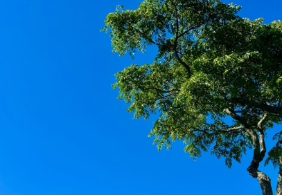 絢香、新年の挨拶を投稿！ファンからツアーへの期待の声が殺到