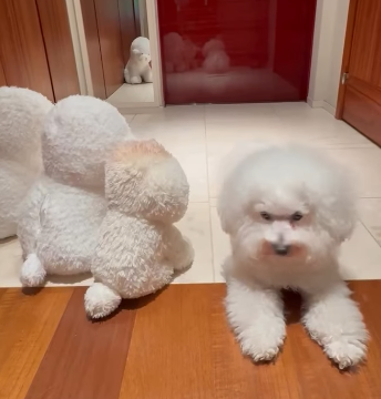 サッカー元日本代表　槙野智章、ぱんちゃんの幼稚園エピソードにほっこりコメント殺到！