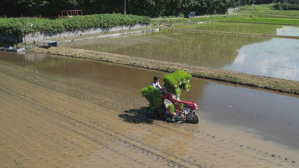 あの名投手が田植えに挑戦!? 緑あふれる農業体験が話題に