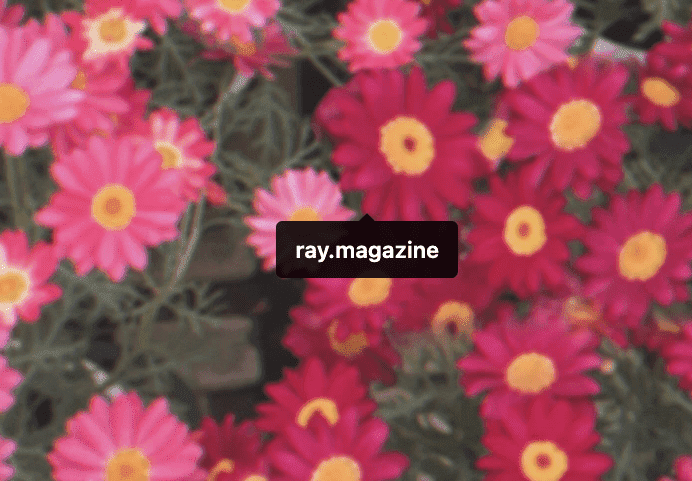 「丸9年間！」鈴木愛理が「Ray」専属モデルの卒業を発表　