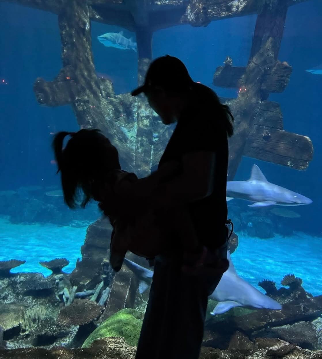 北斗晶、孫を抱っこして…「なんて幸せな時間なんでしょう」幸せ溢れる動画にファンほっこり！