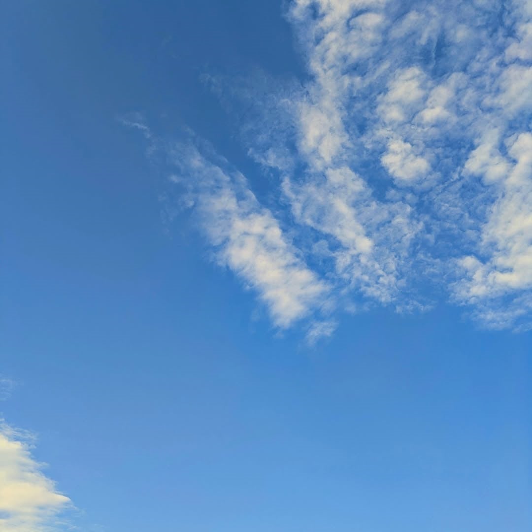 心に響く青空！演歌界の大御所、小林幸子が投稿した平和と幸せのメッセージ！！