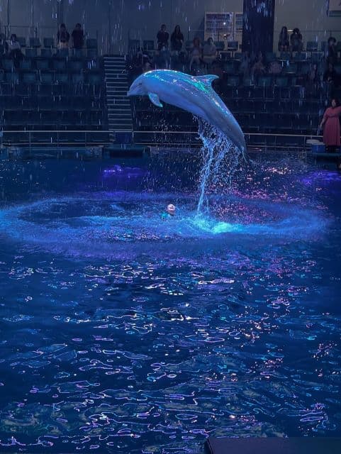 「写真上手」横山由依、水族館でイルカショーを満喫し幻想的なショットを公開！